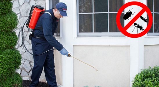Ağlasun Karınca İlaçlama böcek ilaçlama ve haşere kontrolü — ilaclama-tr.com